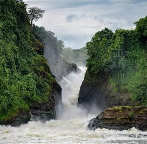 Murchison Falls National Park