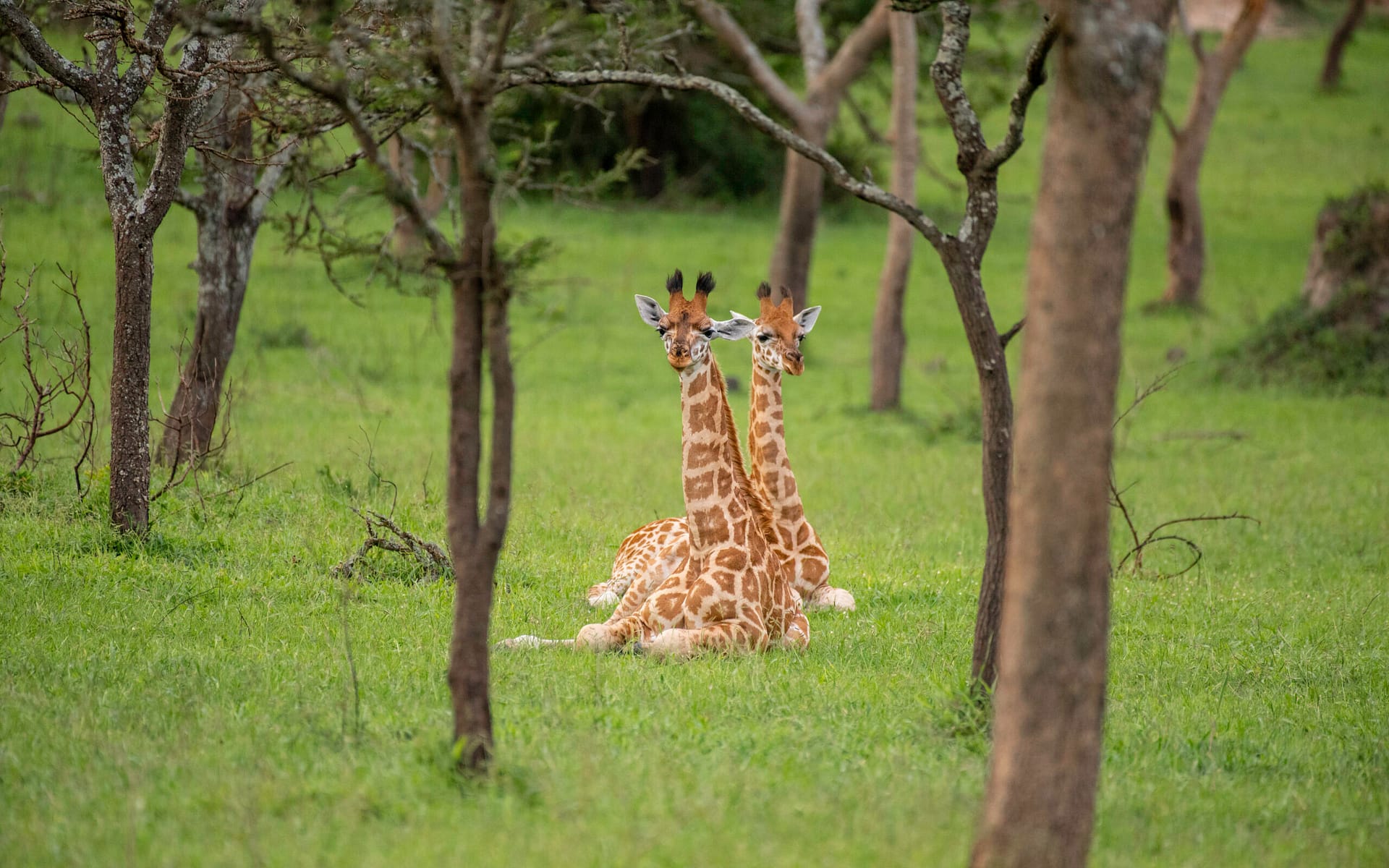 Lake Mburo National Park